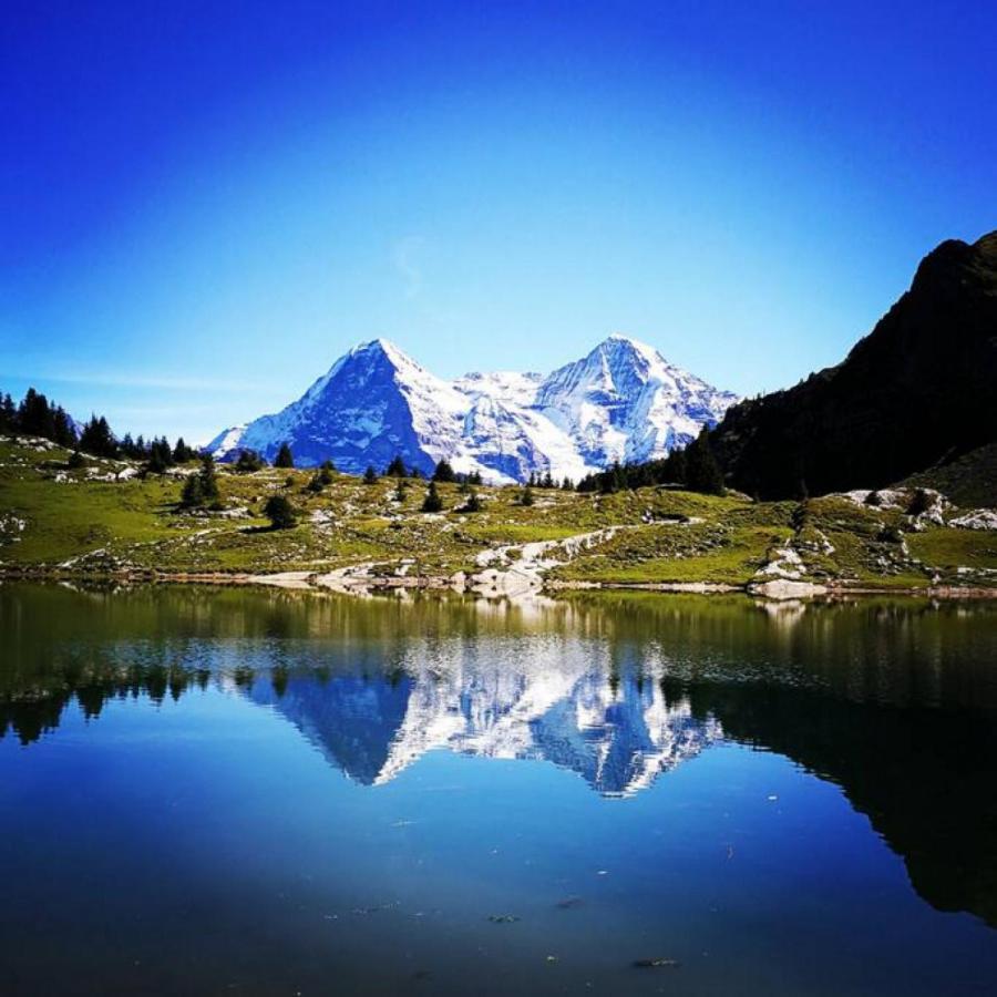 Swisshut Stunning Views Alps Lake - Chalet Erli Därligen Exteriér fotografie